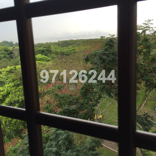 TAMPINES STREET 41 (Tampines), HDB 3 Rooms #35517292